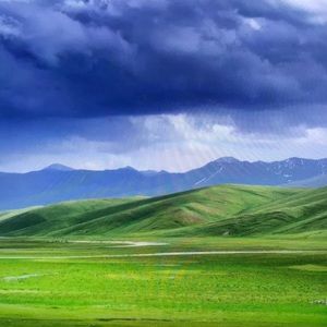 Meet your Posher, Dylan